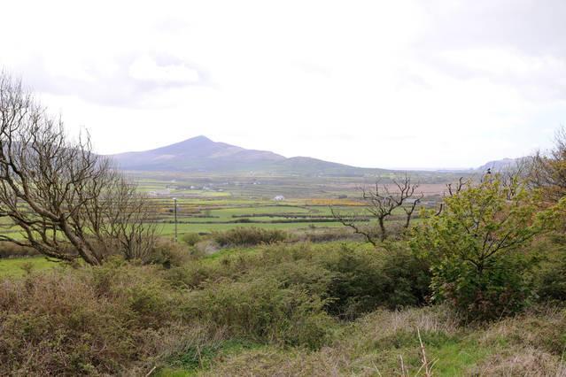 Griffins Holiday Cottage Dingle Exterior photo
